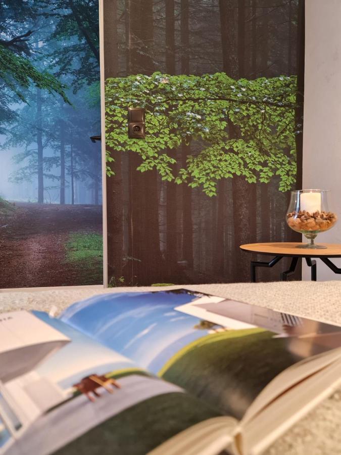 Apartament Szklarka Szklarska Poręba Kültér fotó